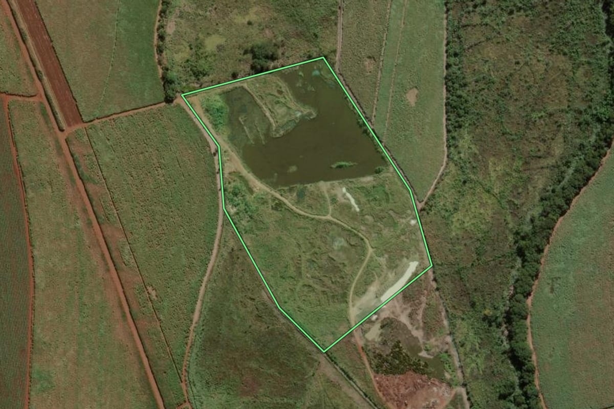 Imagem de satélite do imóvel rural em Pitangueiras (SP), com o contorno declarado no CAR desenhado por cima.