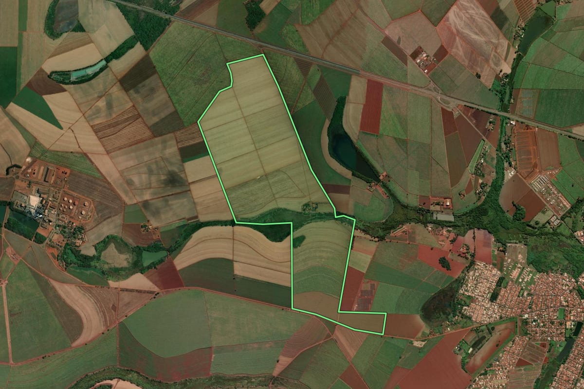 Imagem de satélite do imóvel rural em Pitangueiras (SP), com o contorno declarado no CAR desenhado por cima.