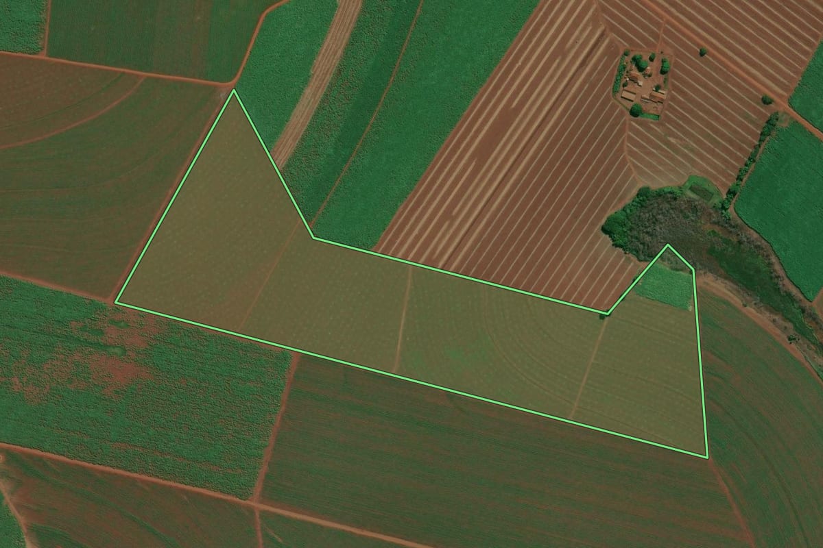 Imagem de satélite do imóvel rural em Pitangueiras (SP), com o contorno declarado no CAR desenhado por cima.