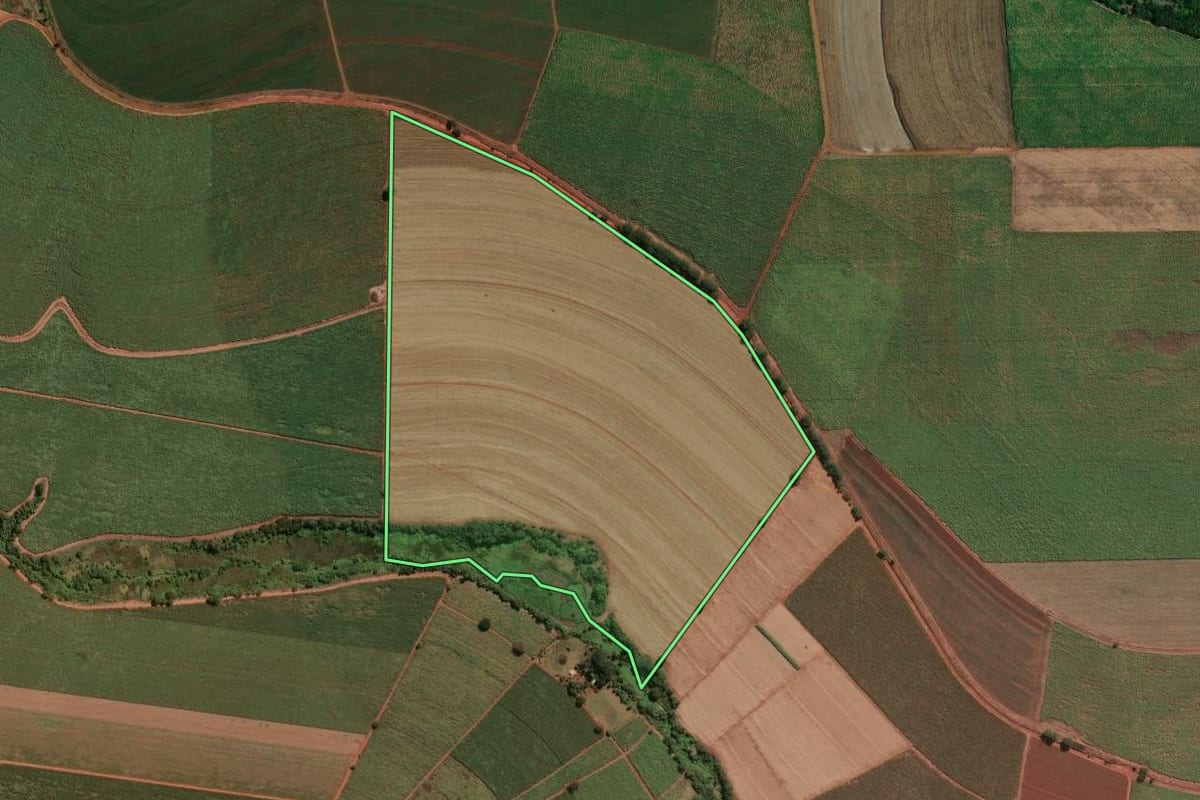 Imagem de satélite do imóvel rural em Pitangueiras (SP), com o contorno declarado no CAR desenhado por cima.