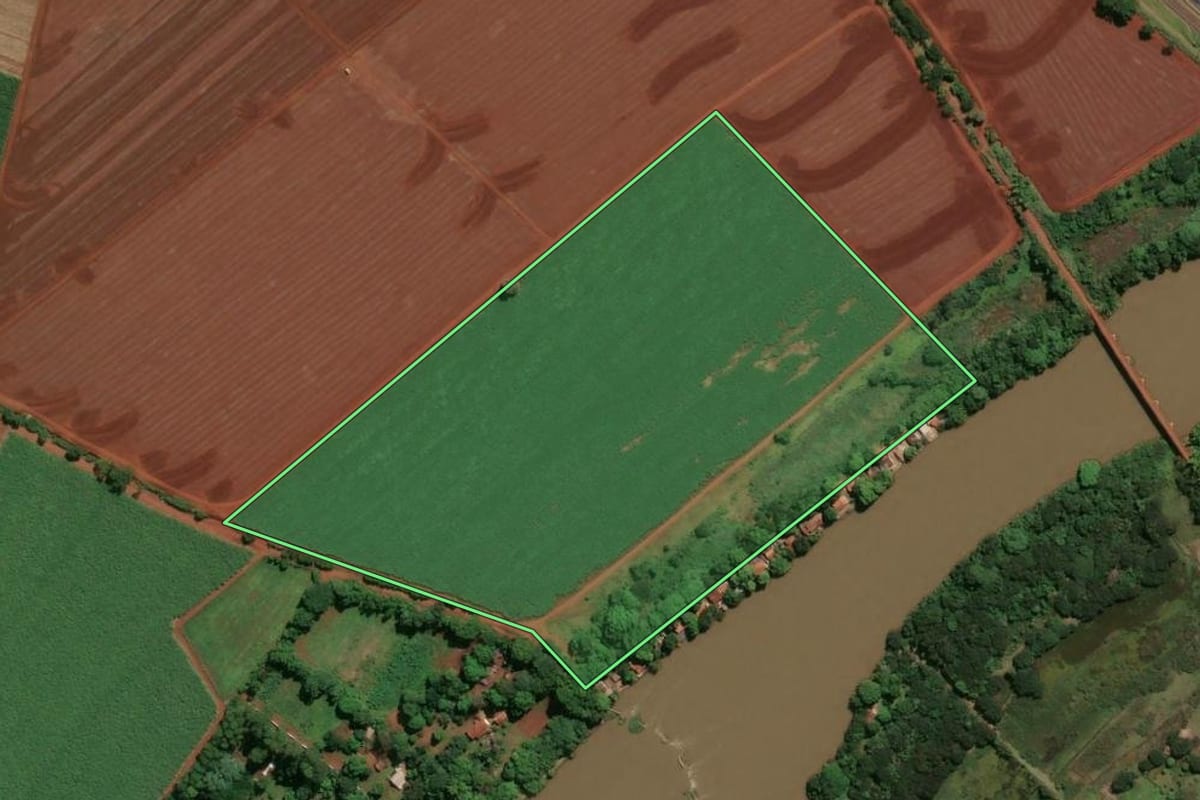 Imagem de satélite do imóvel rural em Pitangueiras (SP), com o contorno declarado no CAR desenhado por cima.