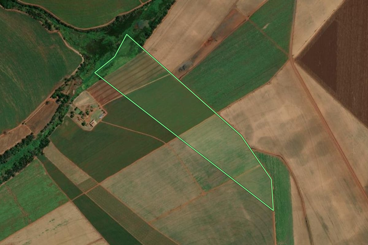 Imagem de satélite do imóvel rural em Pitangueiras (SP), com o contorno declarado no CAR desenhado por cima.