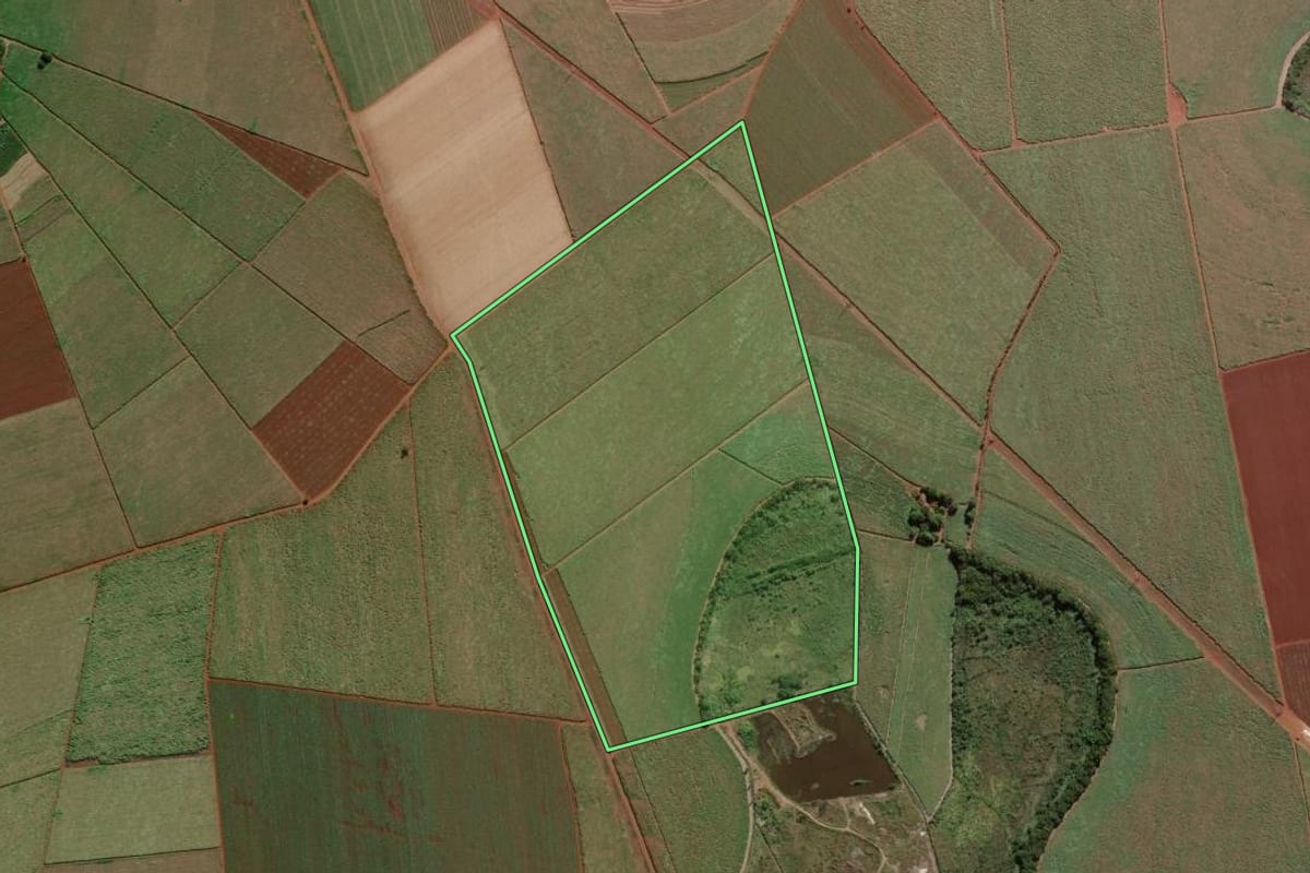 Imagem de satélite do imóvel rural em Pitangueiras (SP), com o contorno declarado no CAR desenhado por cima.
