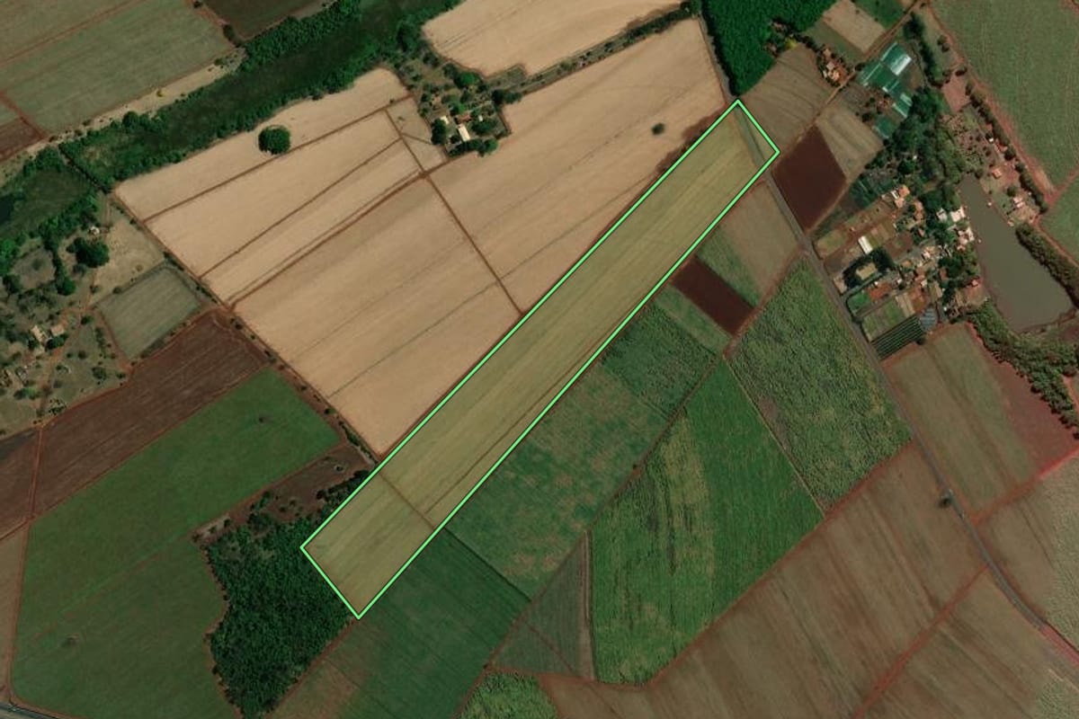 Imagem de satélite do imóvel rural em Pitangueiras (SP), com o contorno declarado no CAR desenhado por cima.