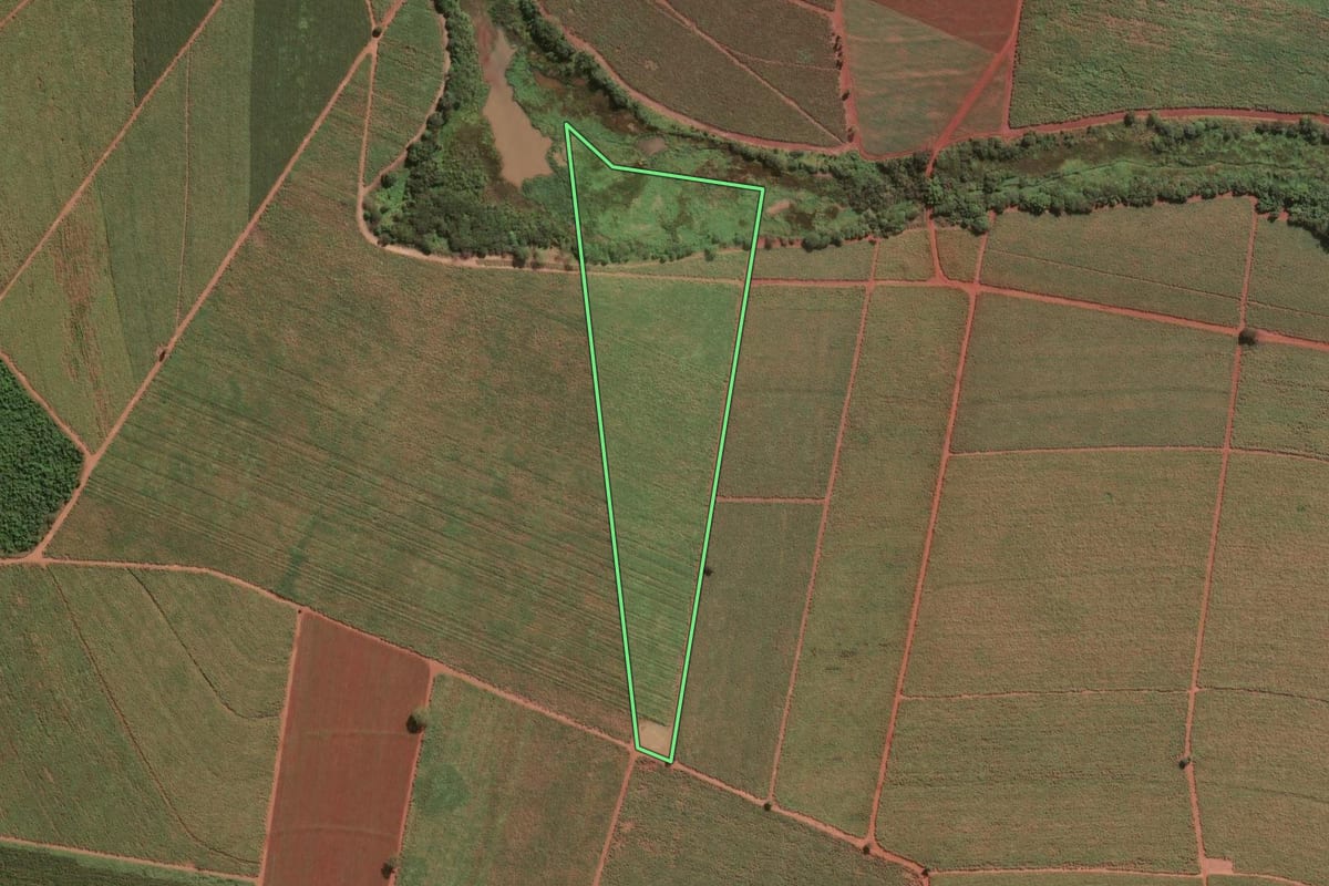 Imagem de satélite do imóvel rural em Pitangueiras (SP), com o contorno declarado no CAR desenhado por cima.