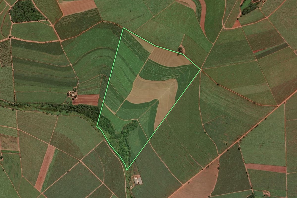 Imagem de satélite do imóvel rural em Pitangueiras (SP), com o contorno declarado no CAR desenhado por cima.