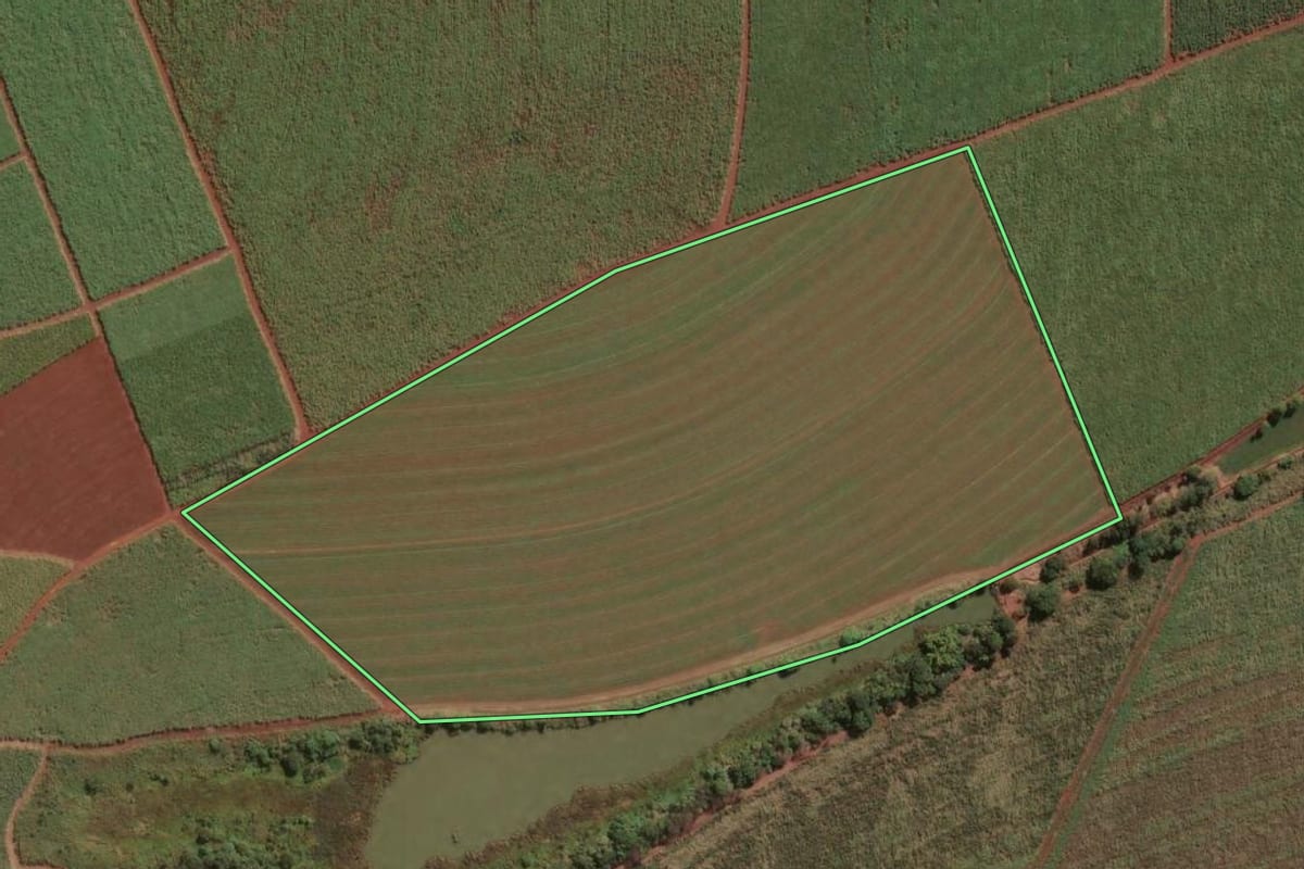 Imagem de satélite do imóvel rural em Pitangueiras (SP), com o contorno declarado no CAR desenhado por cima.