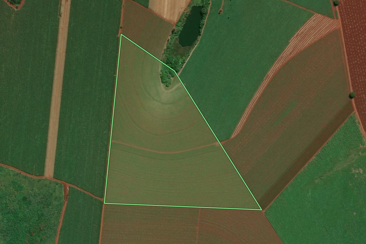 Imagem de satélite do imóvel rural em Pitangueiras (SP), com o contorno declarado no CAR desenhado por cima.