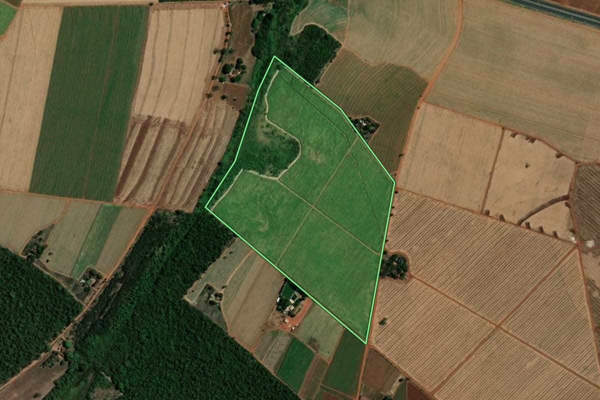 Imagem de satélite do imóvel rural em Pitangueiras (SP), com o contorno declarado no CAR desenhado por cima.