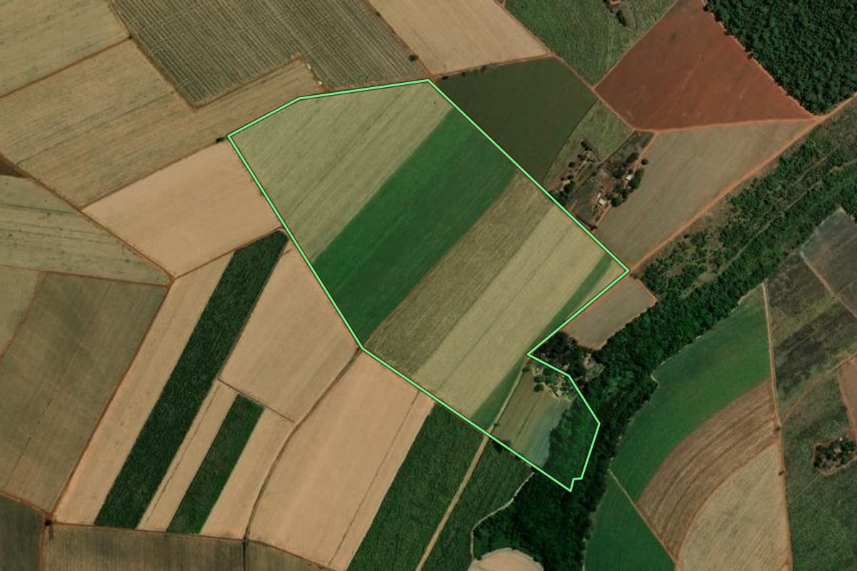 Imagem de satélite do imóvel rural em Pitangueiras (SP), com o contorno declarado no CAR desenhado por cima.