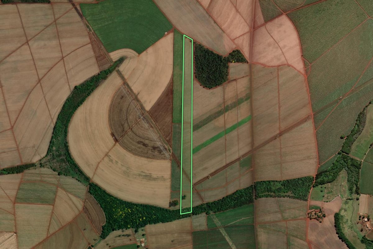Imagem de satélite do imóvel rural em Pitangueiras (SP), com o contorno declarado no CAR desenhado por cima.