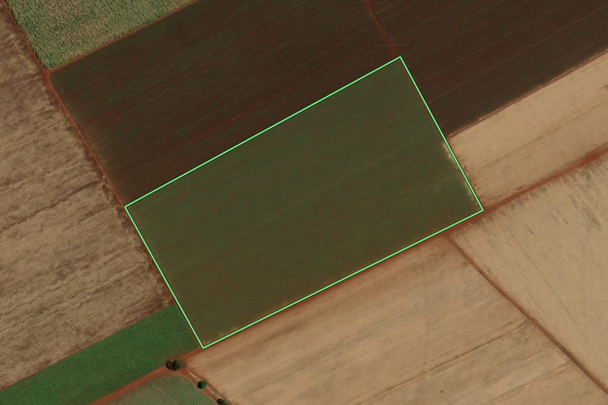 Imagem de satélite do imóvel rural em Pitangueiras (SP), com o contorno declarado no CAR desenhado por cima.