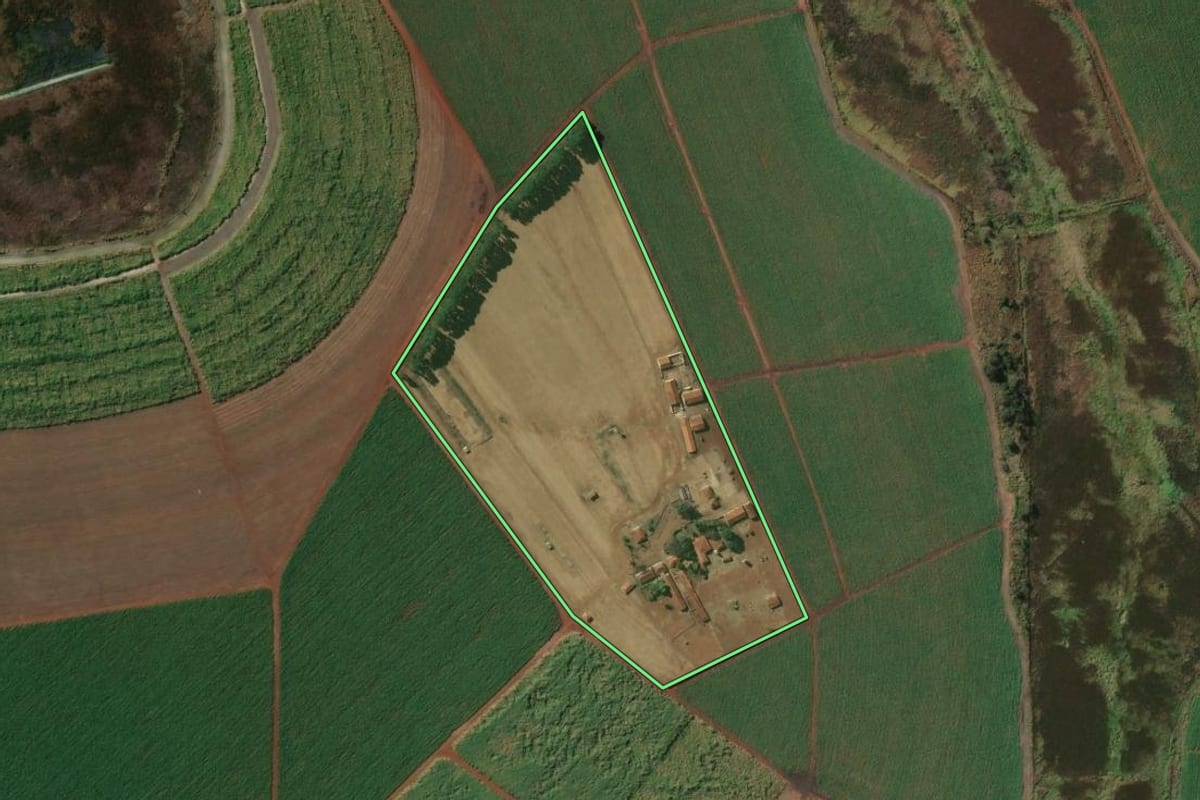 Imagem de satélite do imóvel rural em Pitangueiras (SP), com o contorno declarado no CAR desenhado por cima.