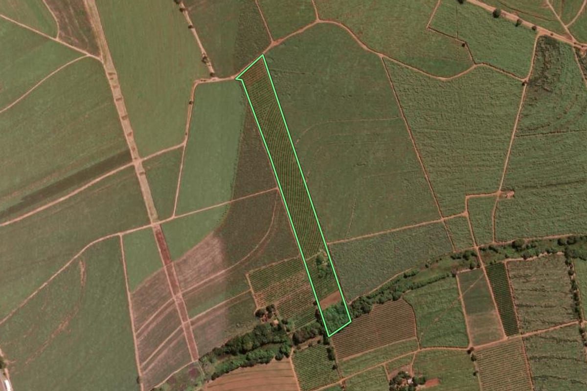 Imagem de satélite do imóvel rural em Pitangueiras (SP), com o contorno declarado no CAR desenhado por cima.