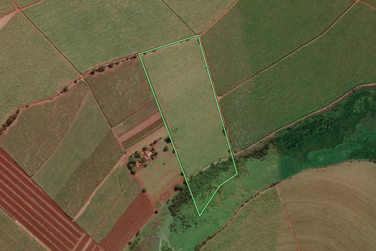 Imagem de satélite do imóvel rural em Pitangueiras (SP), com o contorno declarado no CAR desenhado por cima.