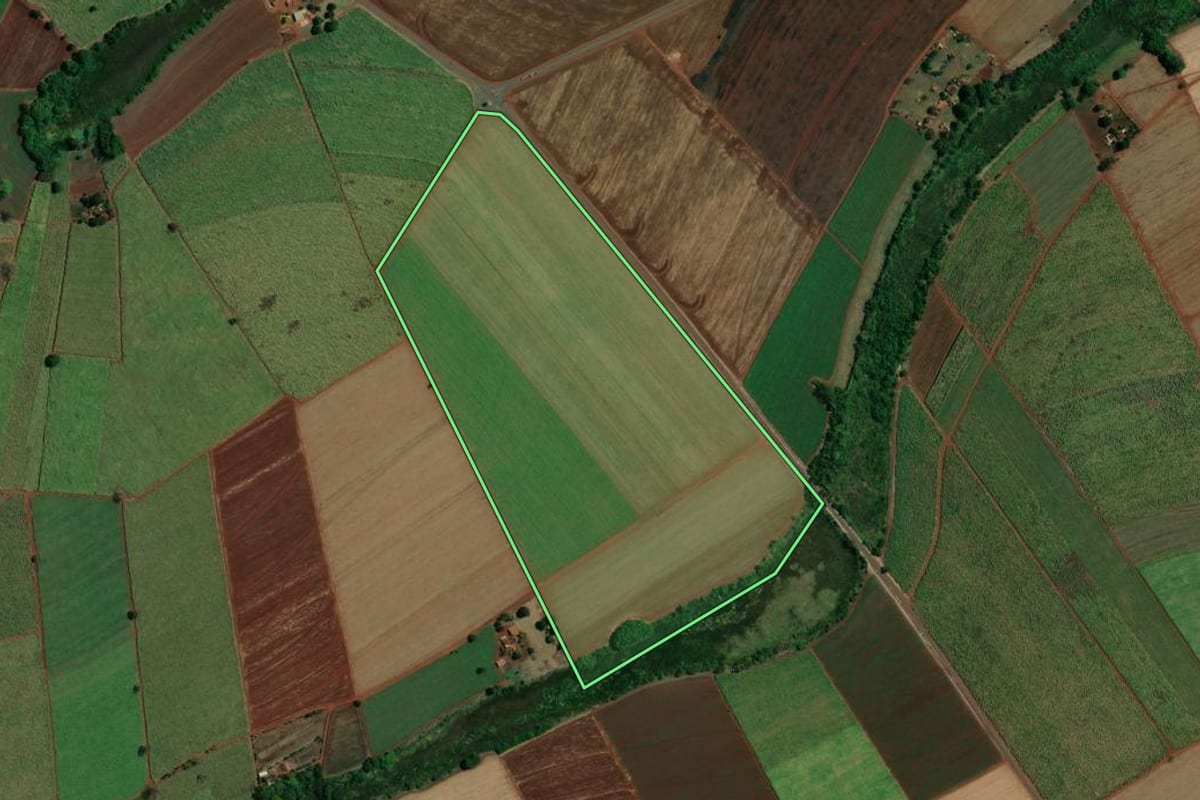 Imagem de satélite do imóvel rural em Pitangueiras (SP), com o contorno declarado no CAR desenhado por cima.