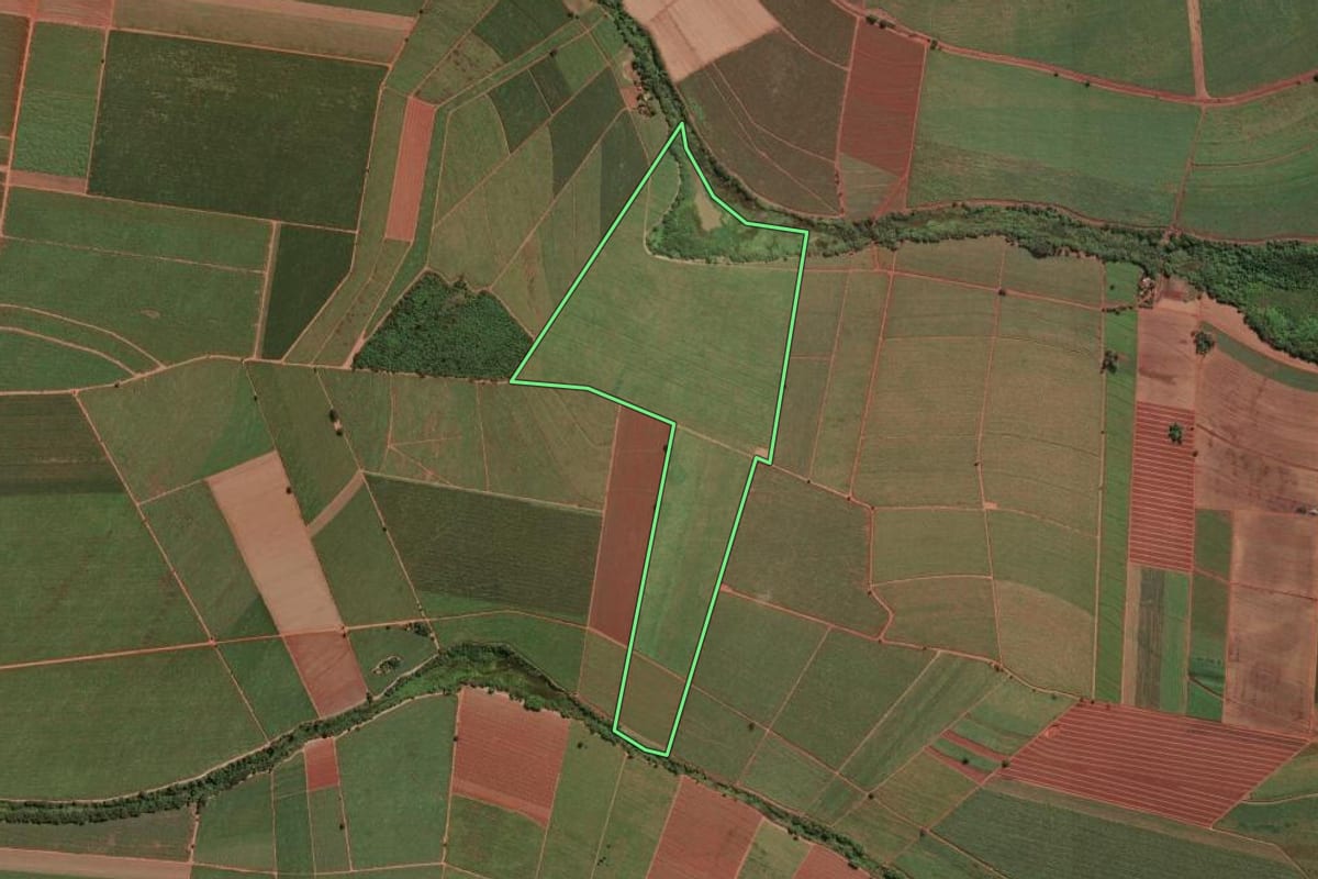 Imagem de satélite do imóvel rural em Pitangueiras (SP), com o contorno declarado no CAR desenhado por cima.