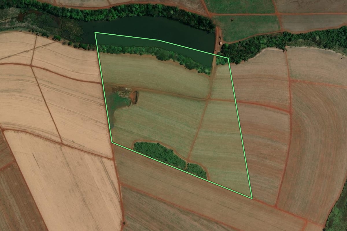 Imagem de satélite do imóvel rural em Pitangueiras (SP), com o contorno declarado no CAR desenhado por cima.