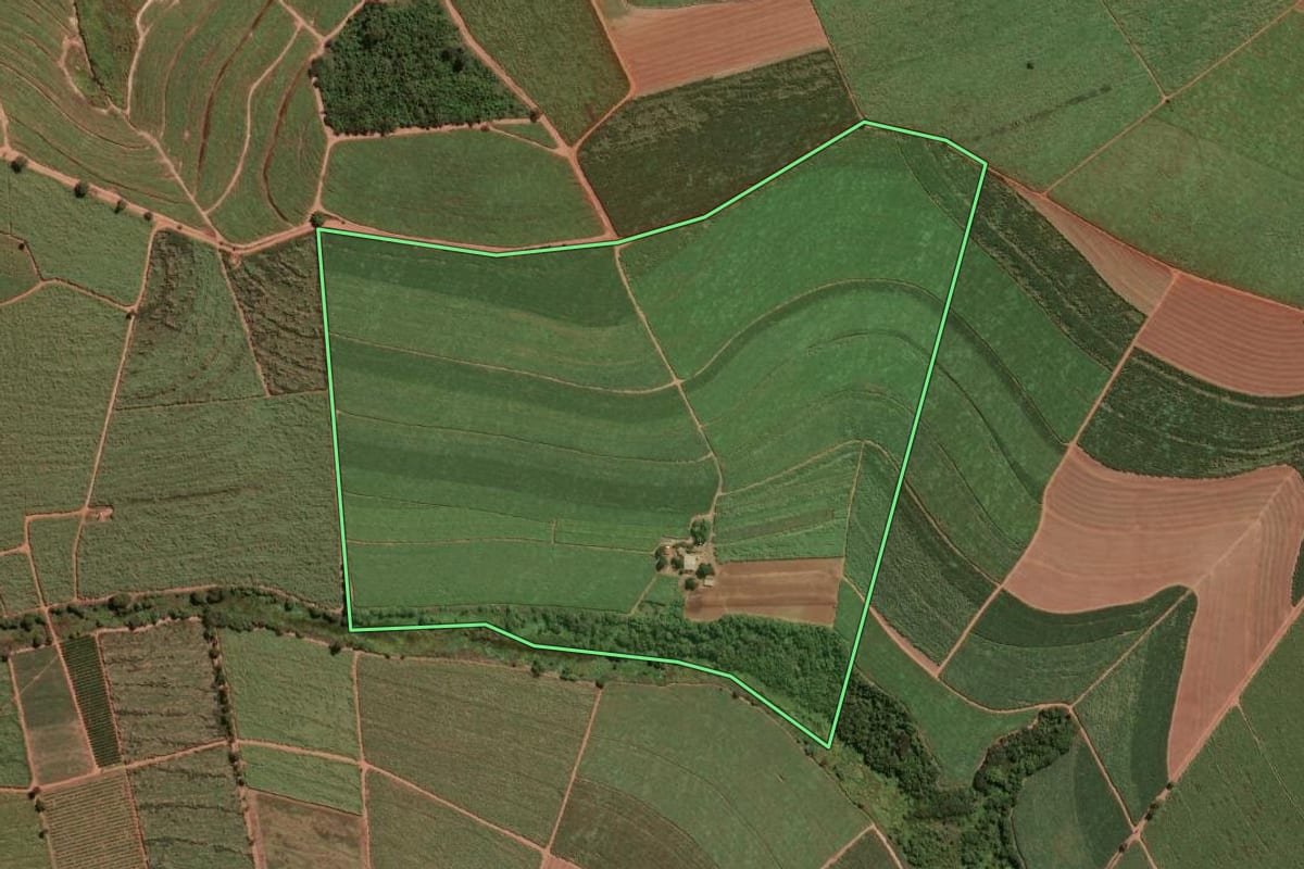 Imagem de satélite do imóvel rural em Pitangueiras (SP), com o contorno declarado no CAR desenhado por cima.