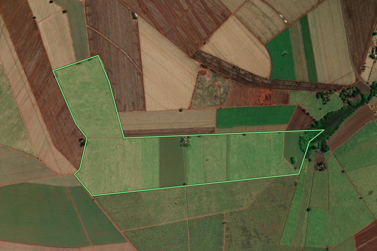 Imagem de satélite do imóvel rural em Pitangueiras (SP), com o contorno declarado no CAR desenhado por cima.