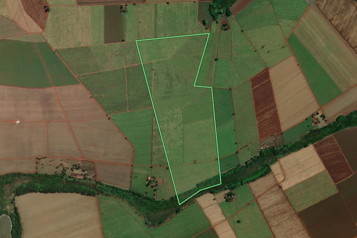 Imagem de satélite do imóvel rural em Pitangueiras (SP), com o contorno declarado no CAR desenhado por cima.