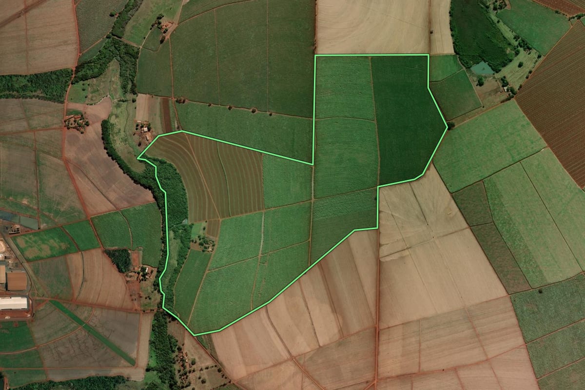 Imagem de satélite do imóvel rural em Pitangueiras (SP), com o contorno declarado no CAR desenhado por cima.
