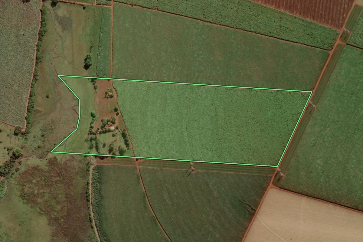 Imagem de satélite do imóvel rural em Pitangueiras (SP), com o contorno declarado no CAR desenhado por cima.