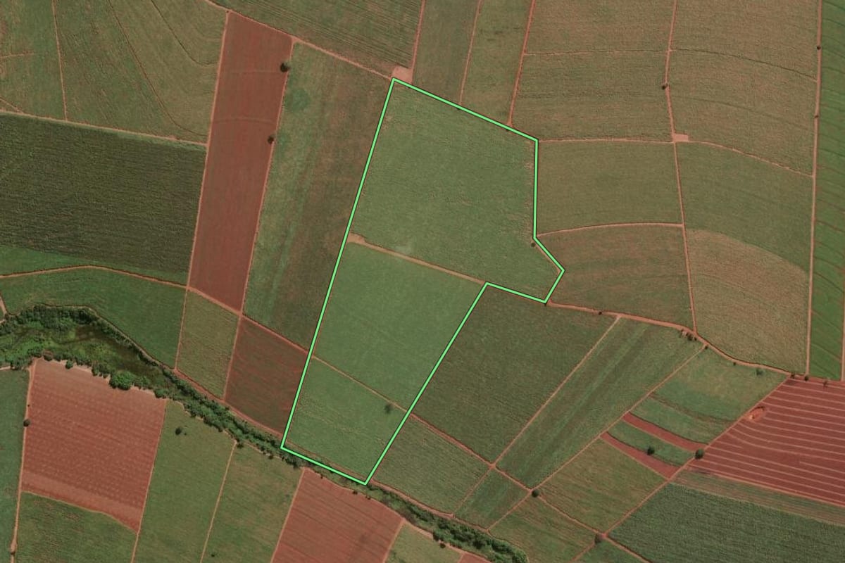 Imagem de satélite do imóvel rural em Pitangueiras (SP), com o contorno declarado no CAR desenhado por cima.