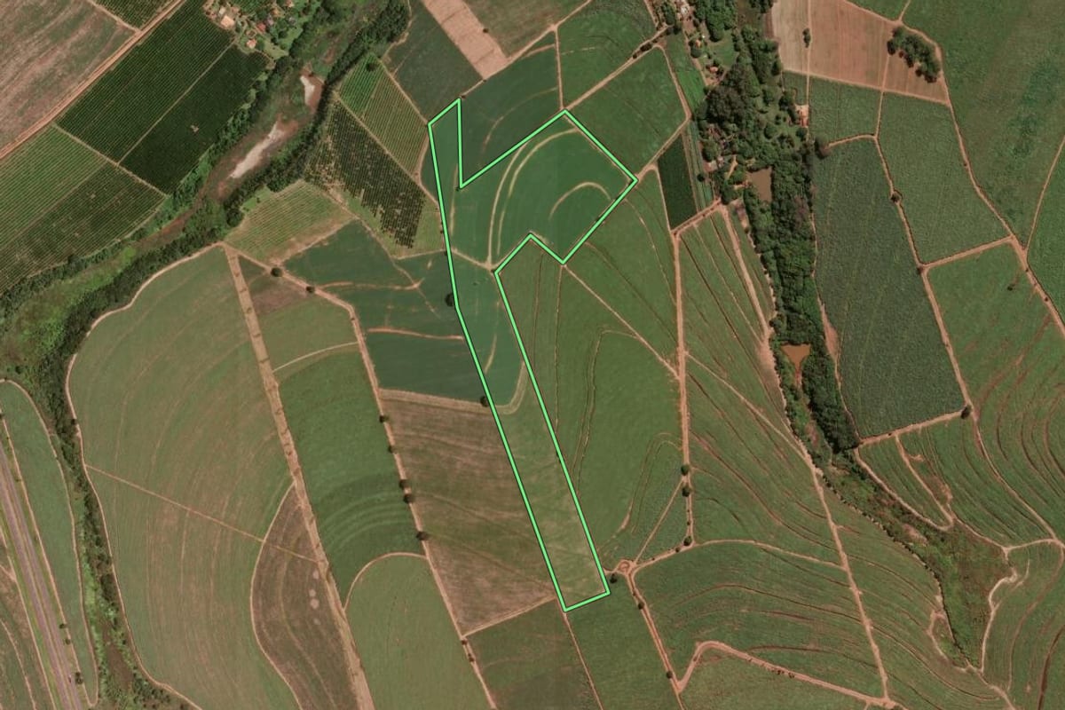 Imagem de satélite do imóvel rural em Pitangueiras (SP), com o contorno declarado no CAR desenhado por cima.
