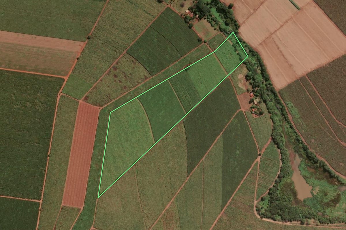 Imagem de satélite do imóvel rural em Pitangueiras (SP), com o contorno declarado no CAR desenhado por cima.