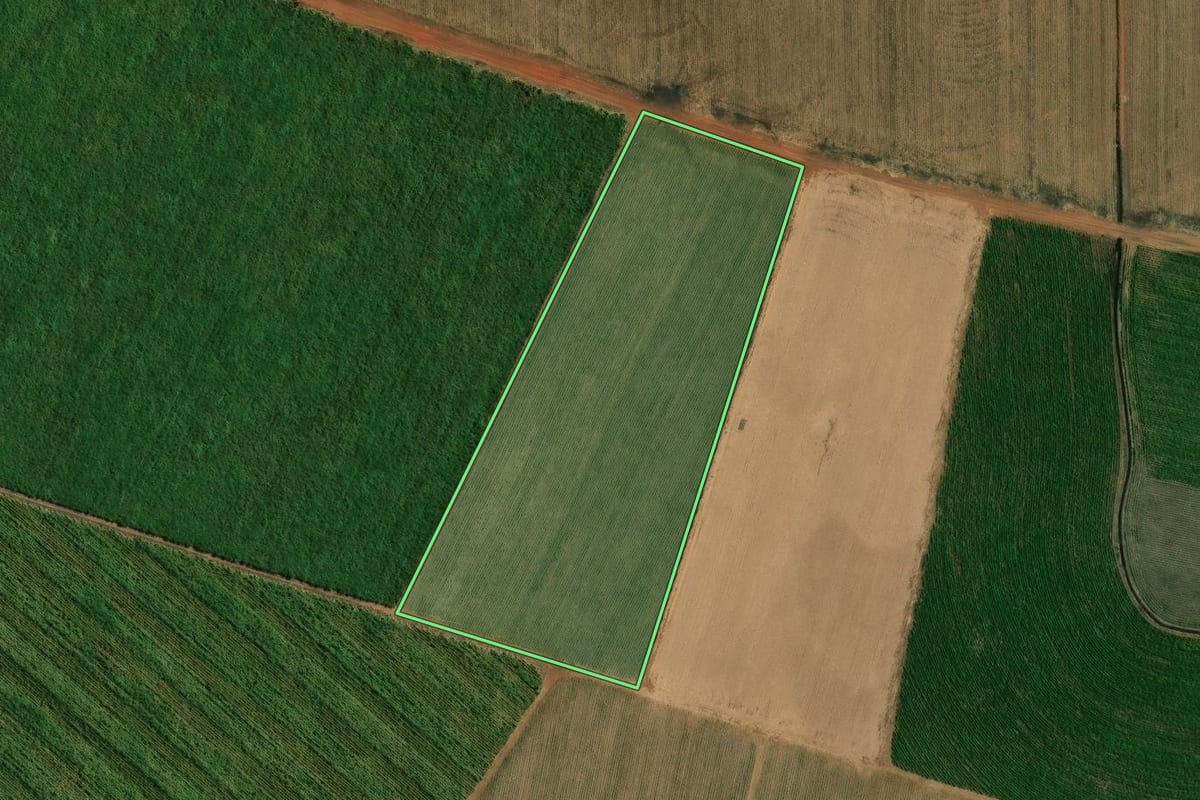 Imagem de satélite do imóvel rural em Pitangueiras (SP), com o contorno declarado no CAR desenhado por cima.