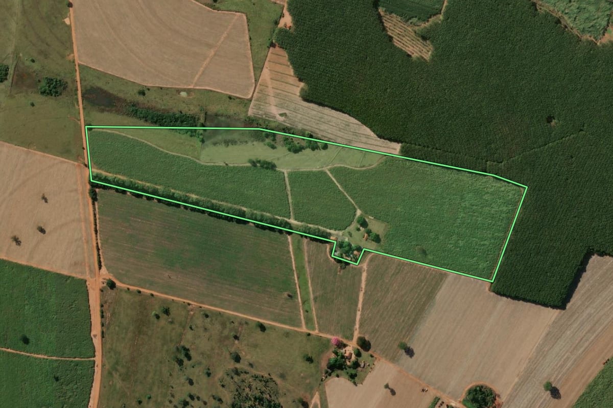 Imagem de satélite do imóvel rural em Planalto (SP), com o contorno declarado no CAR desenhado por cima.