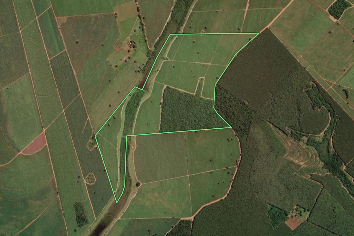 Imagem de satélite do imóvel rural em Planalto (SP), com o contorno declarado no CAR desenhado por cima.