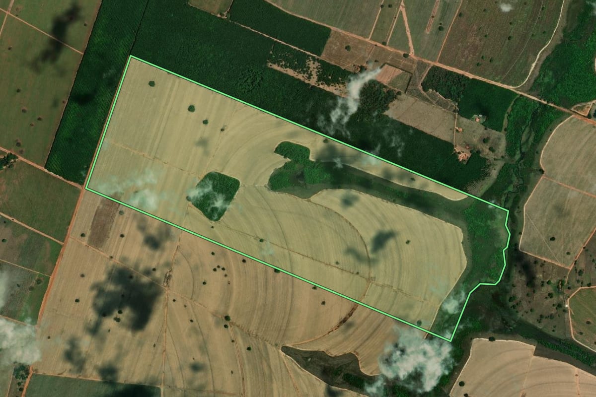 Imagem de satélite do imóvel rural em Planalto (SP), com o contorno declarado no CAR desenhado por cima.