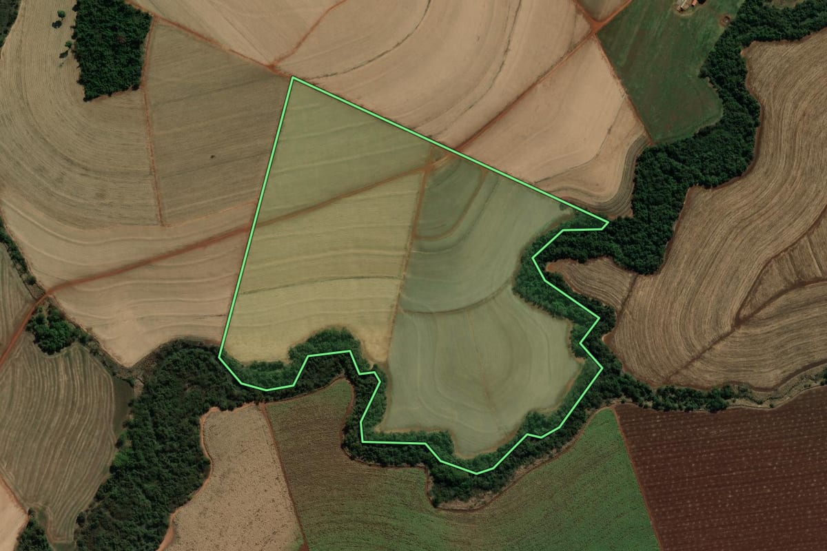 Imagem de satélite do imóvel rural em Platina (SP), com o contorno declarado no CAR desenhado por cima.