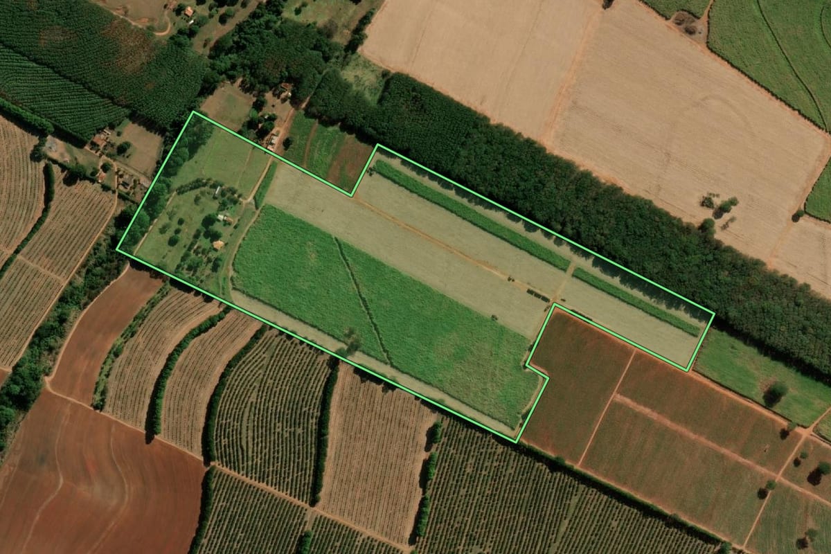 Imagem de satélite do imóvel rural em Poloni (SP), com o contorno declarado no CAR desenhado por cima.