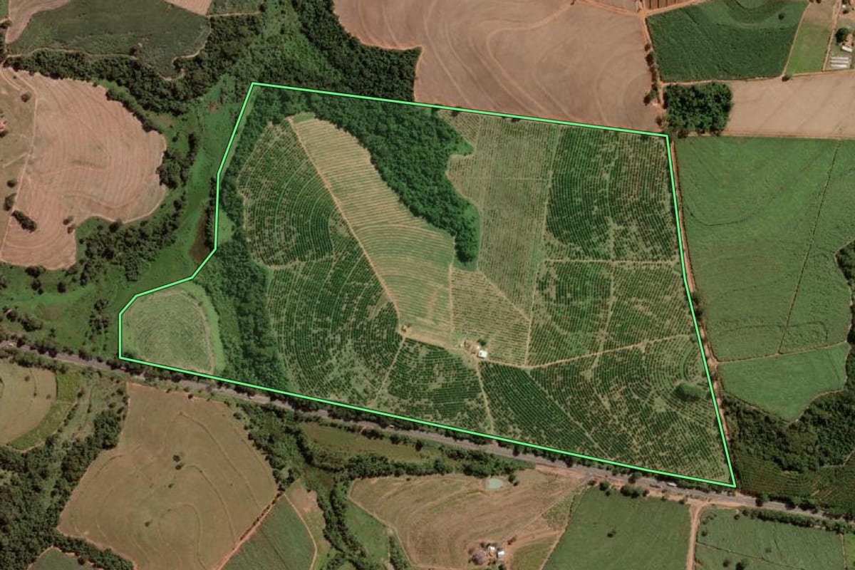 Imagem de satélite do imóvel rural em Poloni (SP), com o contorno declarado no CAR desenhado por cima.