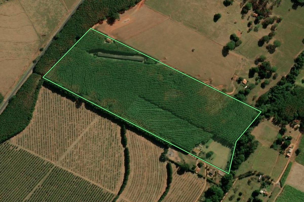 Imagem de satélite do imóvel rural em Poloni (SP), com o contorno declarado no CAR desenhado por cima.