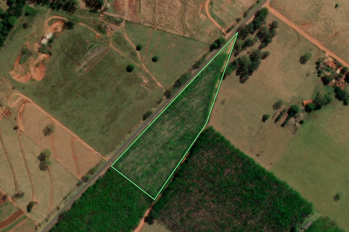 Imagem de satélite do imóvel rural em Poloni (SP), com o contorno declarado no CAR desenhado por cima.