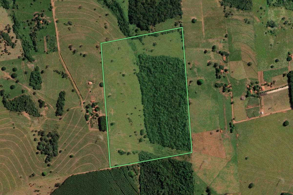 Imagem de satélite do imóvel rural em Poloni (SP), com o contorno declarado no CAR desenhado por cima.