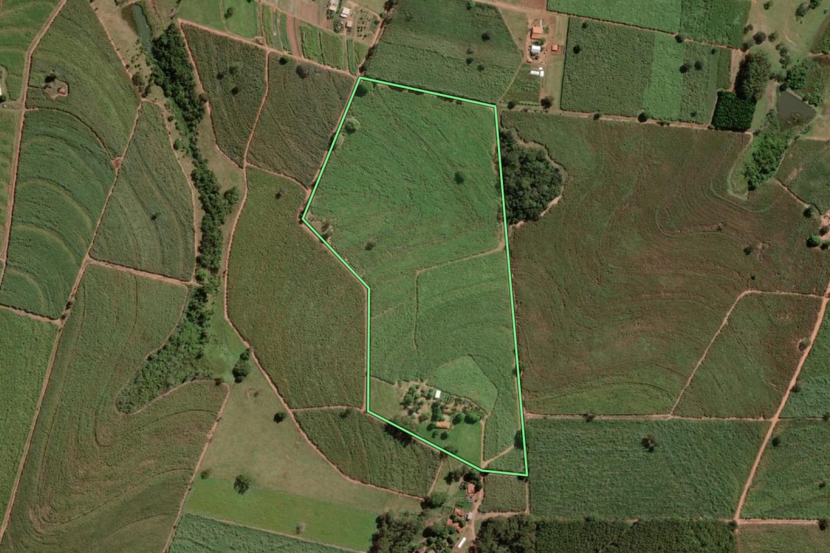 Imagem de satélite do imóvel rural em Poloni (SP), com o contorno declarado no CAR desenhado por cima.