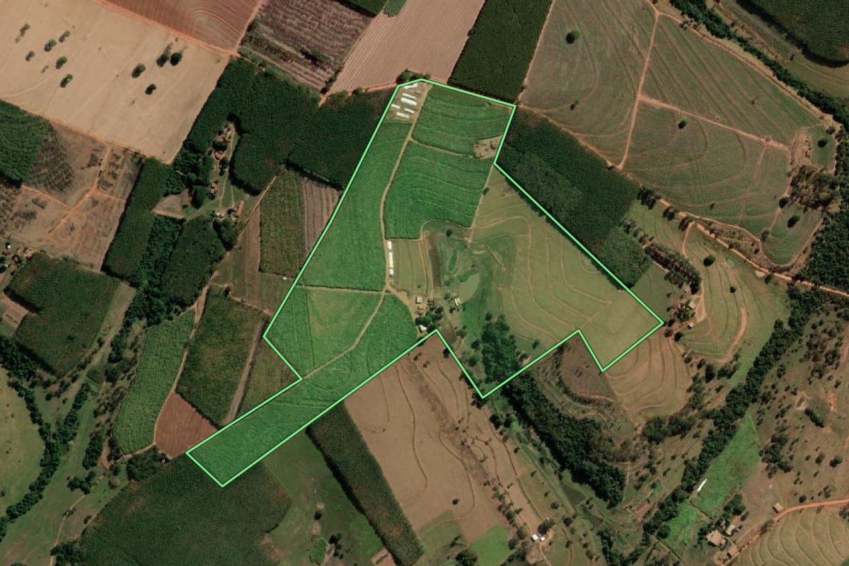 Imagem de satélite do imóvel rural em Poloni (SP), com o contorno declarado no CAR desenhado por cima.