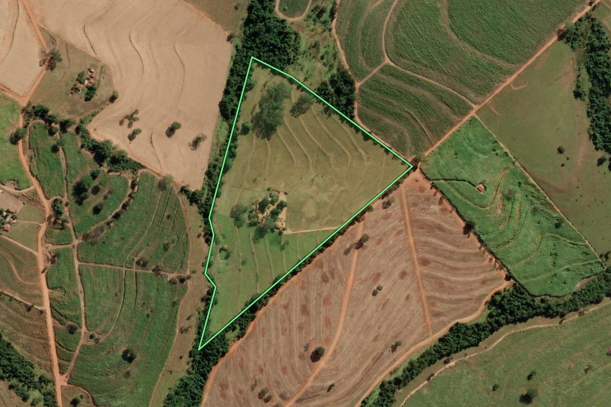 Imagem de satélite do imóvel rural em Poloni (SP), com o contorno declarado no CAR desenhado por cima.