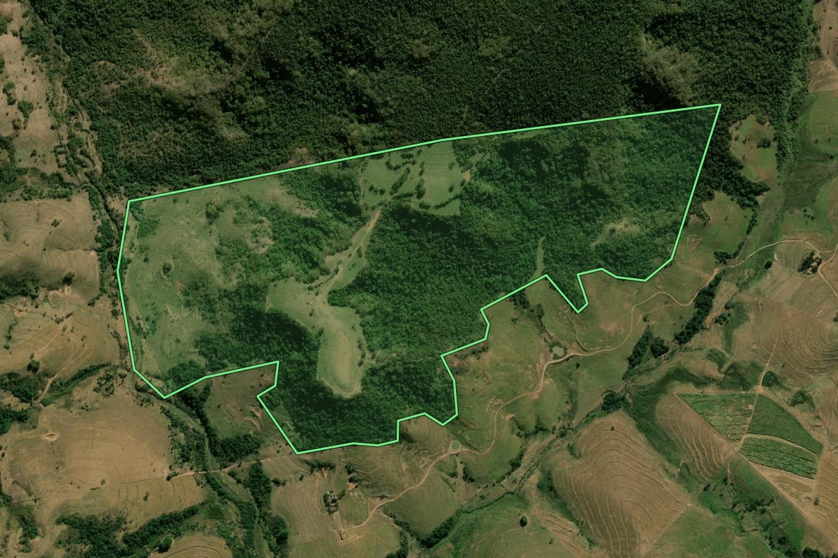 Imagem de satélite do imóvel rural em Pompéia (SP), com o contorno declarado no CAR desenhado por cima.