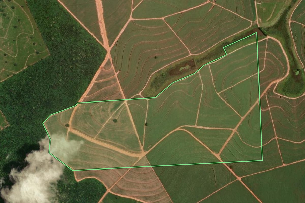 Imagem de satélite do imóvel rural em Pongaí (SP), com o contorno declarado no CAR desenhado por cima.