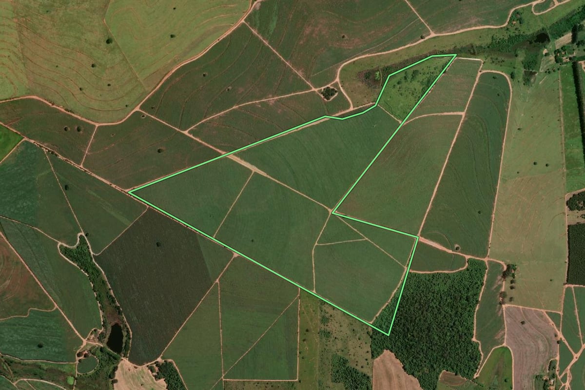 Imagem de satélite do imóvel rural em Pongaí (SP), com o contorno declarado no CAR desenhado por cima.