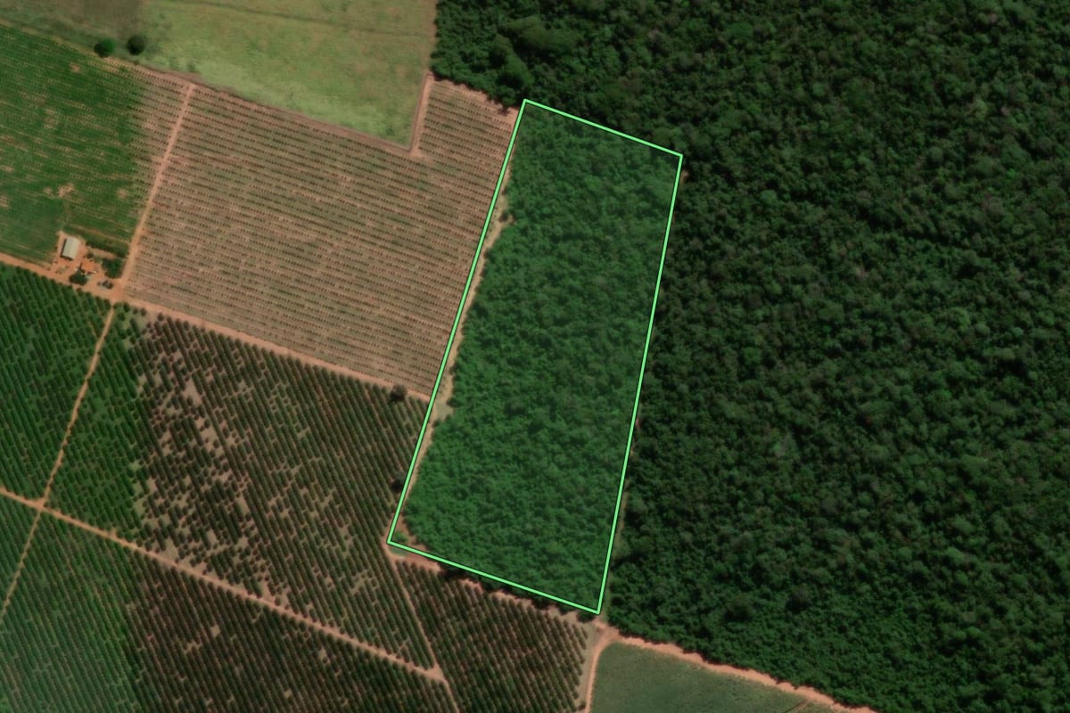 Imagem de satélite do imóvel rural em Pongaí (SP), com o contorno declarado no CAR desenhado por cima.