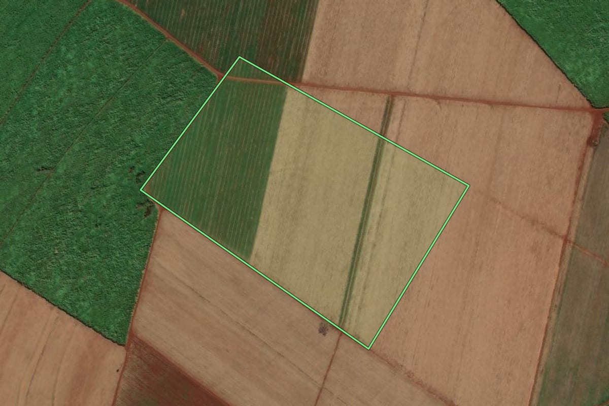 Imagem de satélite do imóvel rural em Pontal (SP), com o contorno declarado no CAR desenhado por cima.