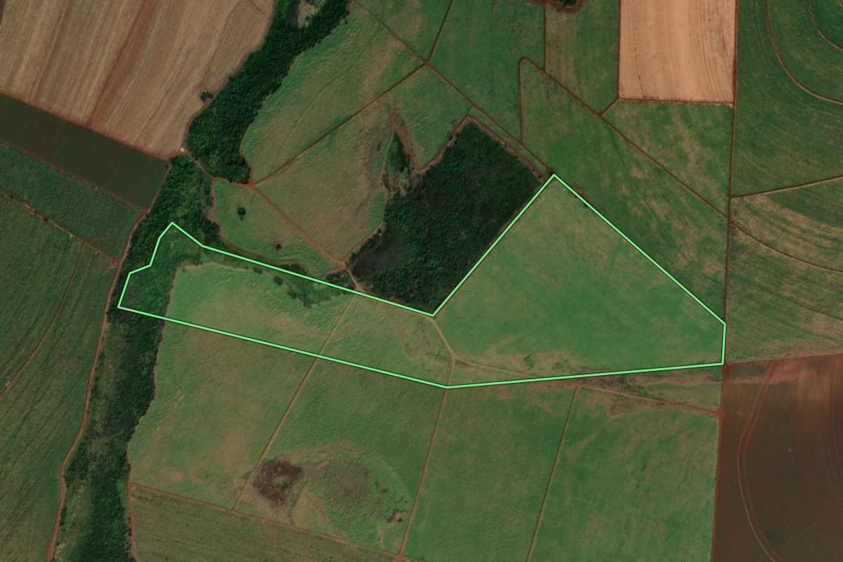 Imagem de satélite do imóvel rural em Pontal (SP), com o contorno declarado no CAR desenhado por cima.