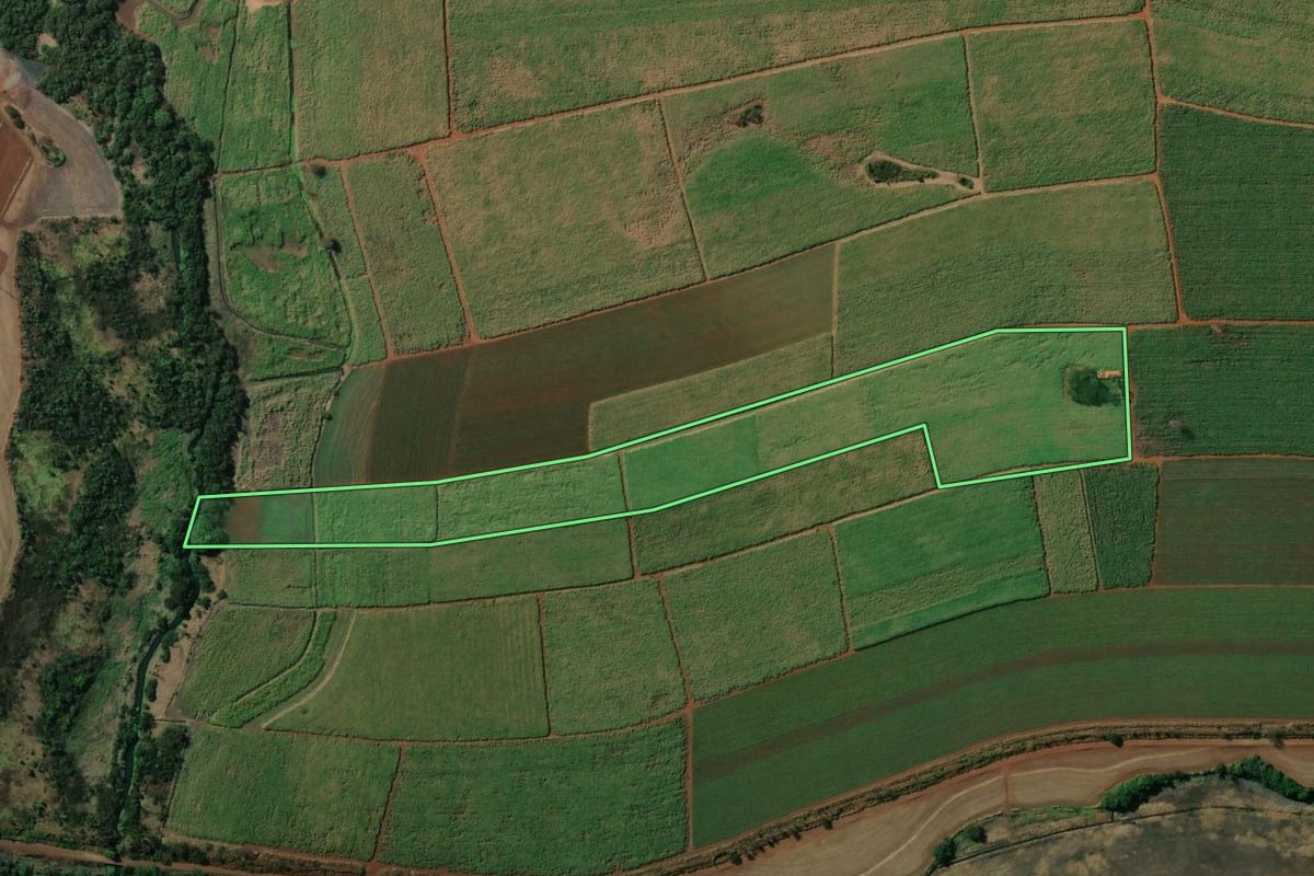 Imagem de satélite do imóvel rural em Pontal (SP), com o contorno declarado no CAR desenhado por cima.